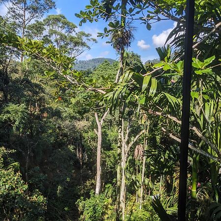 Ella Jungle Inn Homestay And Tree House Exterior photo