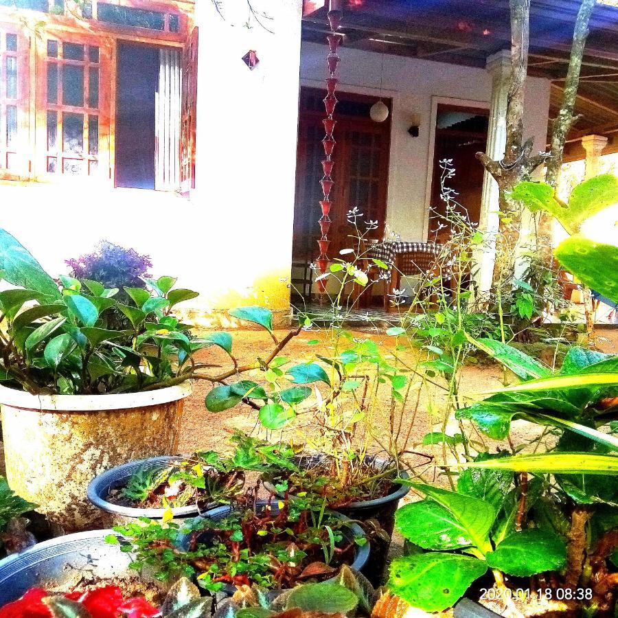 Ella Jungle Inn Homestay And Tree House Exterior photo